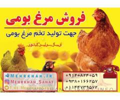 شرکت تعاونی مهرخواه صنعت